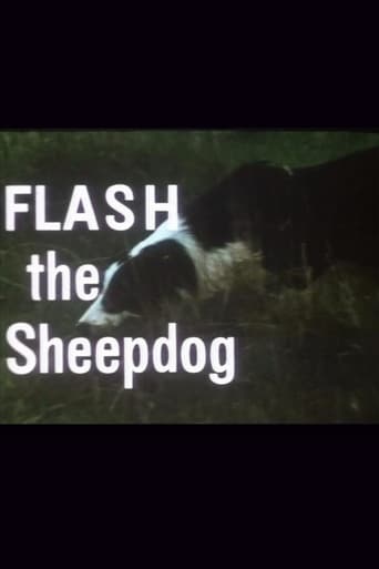 Poster of Flash the Sheepdog