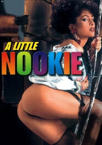 Poster of A Little Nookie