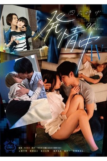 Poster of SILK-178 四六時中発情中 IV
