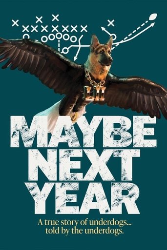 Poster of Maybe Next Year