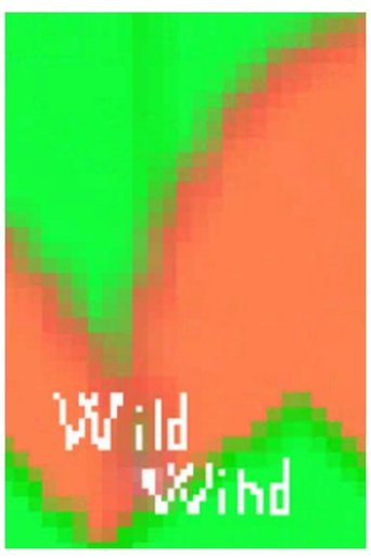 Poster of Wild Wind