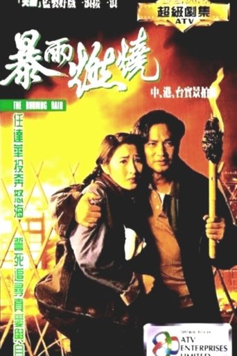 Poster of 暴雨燃烧