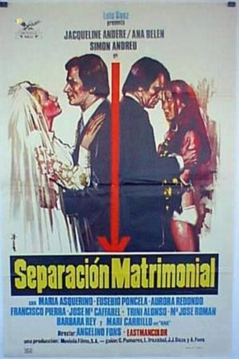 Poster of Separación matrimonial