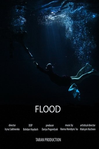 Poster of Flood