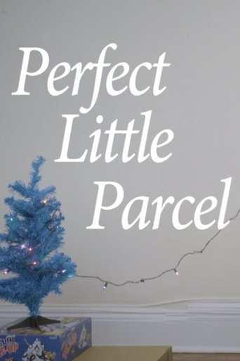 Poster of Perfect Little Parcel
