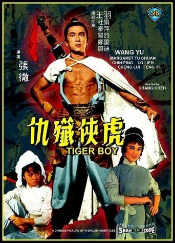 Poster of Tiger Boy