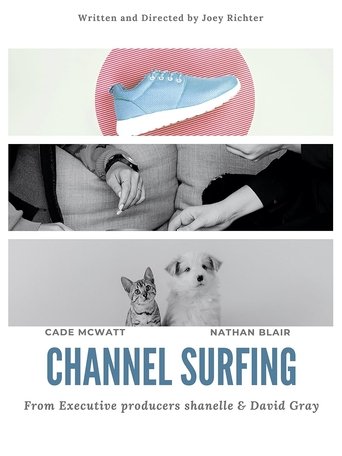 Poster of Channel Surfing