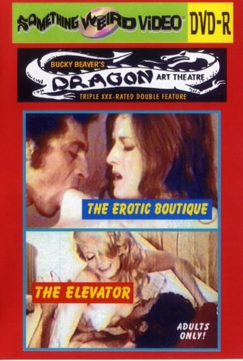 Poster of The Erotic Boutique