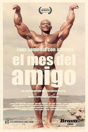 Poster of El mes del amigo