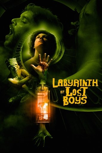 Poster of Labyrinth of Lost Boys