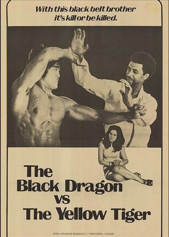 Poster of The Black Dragon vs. the Yellow Tiger