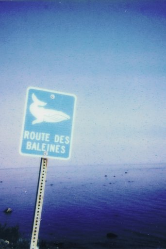 Poster of La route des baleines
