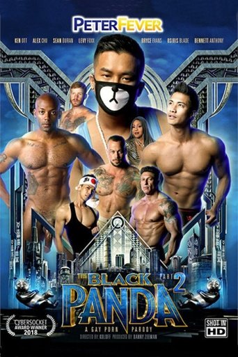 Poster of The Black Panda 2