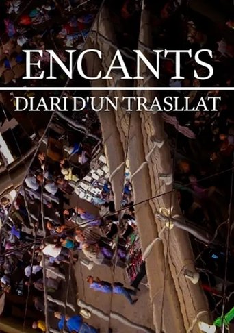 Poster of Encants, diari d'un trasllat