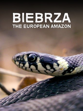 Poster of Biebrza: The European Amazon