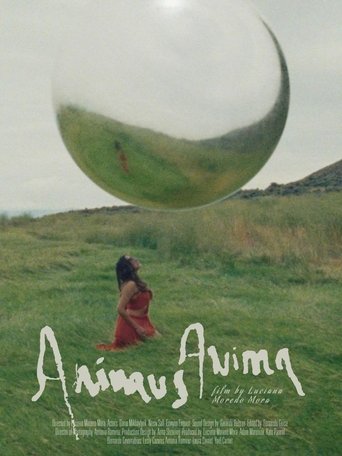 Poster of Animus Anima