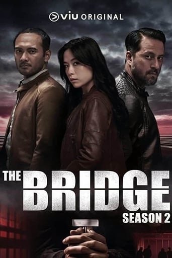 Portrait for The Bridge - Season 2