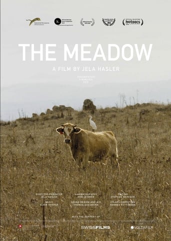 Poster of The Meadow