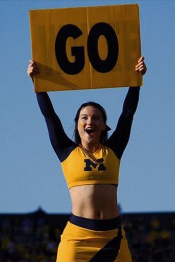 Poster of The Big House