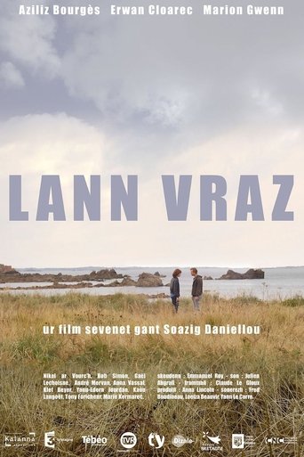Poster of Lann vraz