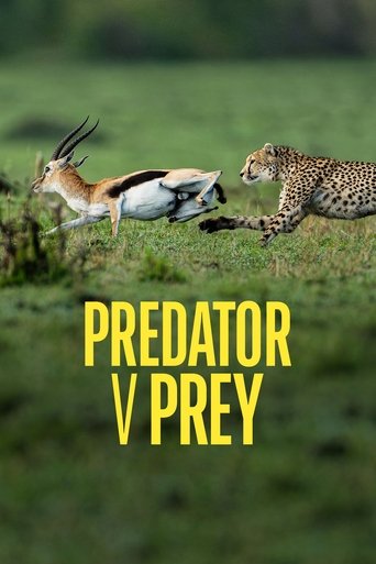 Poster of Predator v Prey