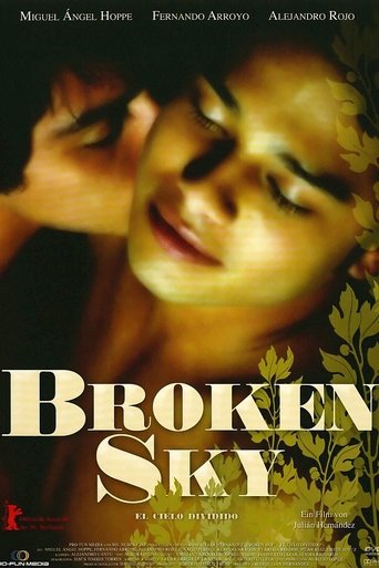 Poster of Broken Sky