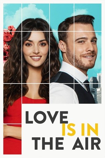 Poster of Love Is in the Air