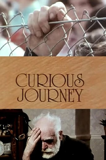 Poster of Curious Journey