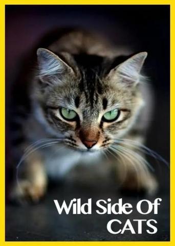 Poster of Wild Side of Cats