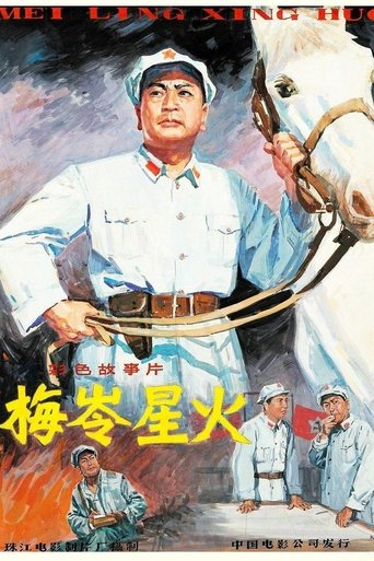 Poster of 梅岭星火