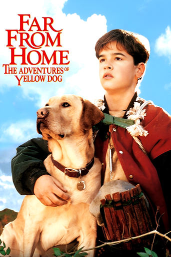 Poster of Far from Home: The Adventures of Yellow Dog