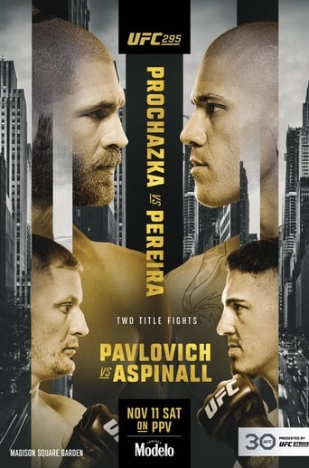 Poster of UFC 295: Prochazka vs. Pereira