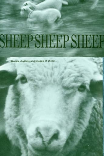 Poster of Sheep, Sheep, Sheep