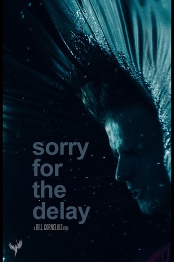 Poster of Sorry for the Delay