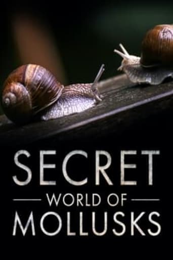 Poster of Secret World of Mollusks