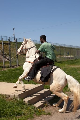 Poster of Horse Day