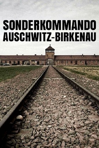 Poster of Sonderkommando Auschwitz-Birkenau