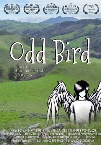 Poster of Odd Bird