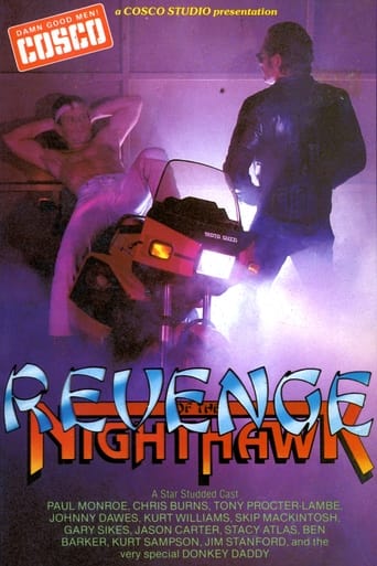 Poster of Revenge of the Nighthawk in Leather