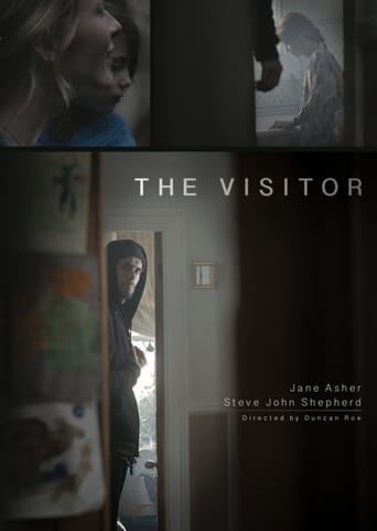 Poster of The Visitor