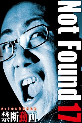 Poster of Not Found 17