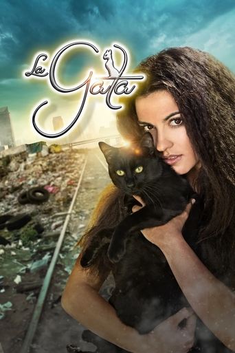 Poster of The Stray Cat