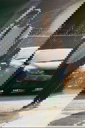 Poster of stealing cars
