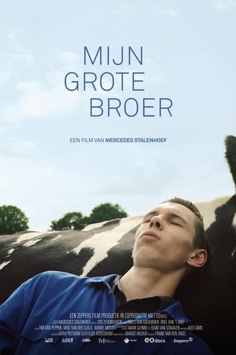 Poster of Mijn grote broer