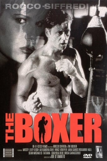 Poster of The Boxer