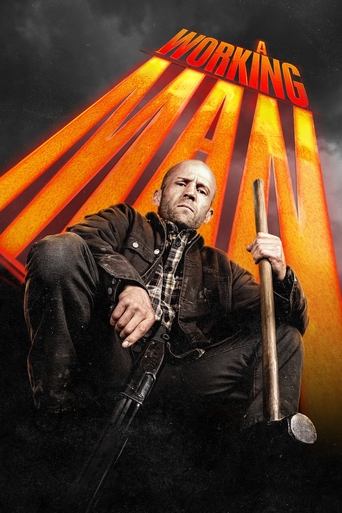 Poster of A Working Man