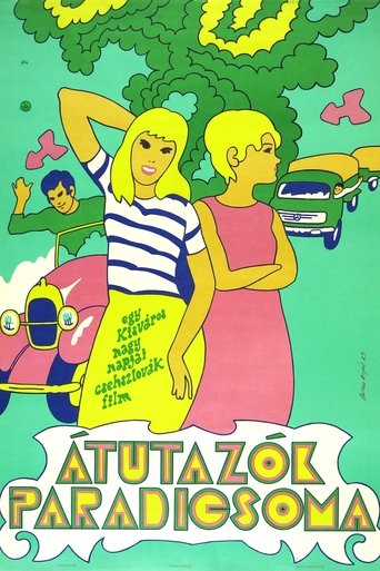 Poster of Objížďka