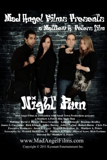 Poster of Night Run