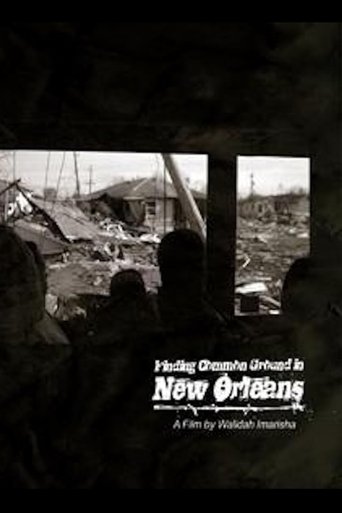 Poster of Finding Common Ground in New Orleans