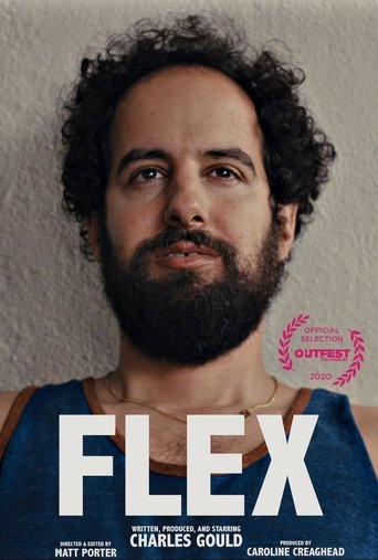 Poster of Flex